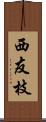 西友枝 Scroll