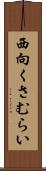 西向くさむらい Scroll