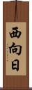 西向日 Scroll