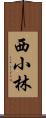 西小林 Scroll