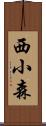 西小森 Scroll