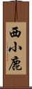 西小鹿 Scroll