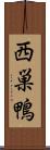西巣鴨 Scroll