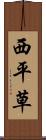 西平草 Scroll