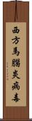 西方馬腦炎病毒 Scroll