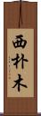西朴木 Scroll