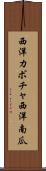西洋カボチャ Scroll
