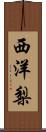 西洋梨 Scroll