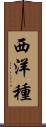 西洋種 Scroll