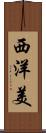 西洋美 Scroll