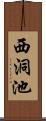 西洞池 Scroll