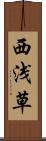 西浅草 Scroll