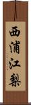 西浦江梨 Scroll