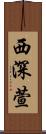 西深萱 Scroll
