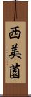 西美薗 Scroll
