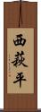 西萩平 Scroll