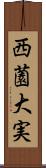 西薗大実 Scroll