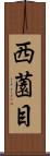 西薗目 Scroll