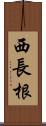 西長根 Scroll