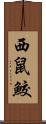 西鼠鮫 Scroll