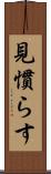 見慣らす Scroll