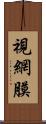 視網膜 Scroll