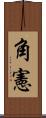 角憲 Scroll