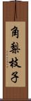 角梨枝子 Scroll