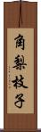 角梨枝子 Scroll