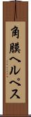 角膜ヘルペス Scroll