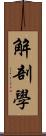 解剖學 Scroll