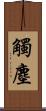 觸塵 Scroll