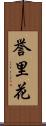 誉里花 Scroll