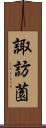 諏訪薗 Scroll