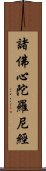 諸佛心陀羅尼經 Scroll