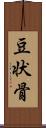 豆状骨 Scroll