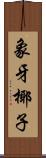 象牙椰子 Scroll