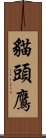 貓頭鷹 Scroll