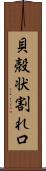 貝殻状割れ口 Scroll