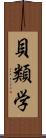貝類学 Scroll