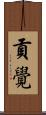 貢覺 Scroll