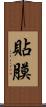 貼膜 Scroll