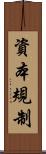 資本規制 Scroll