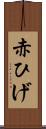 赤ひげ Scroll
