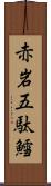 赤岩五駄鱈 Scroll