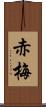 赤梅 Scroll