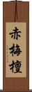 赤梅檀 Scroll