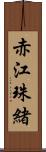 赤江珠緒 Scroll