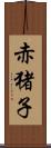 赤猪子 Scroll