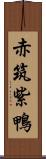 赤筑紫鴨 Scroll